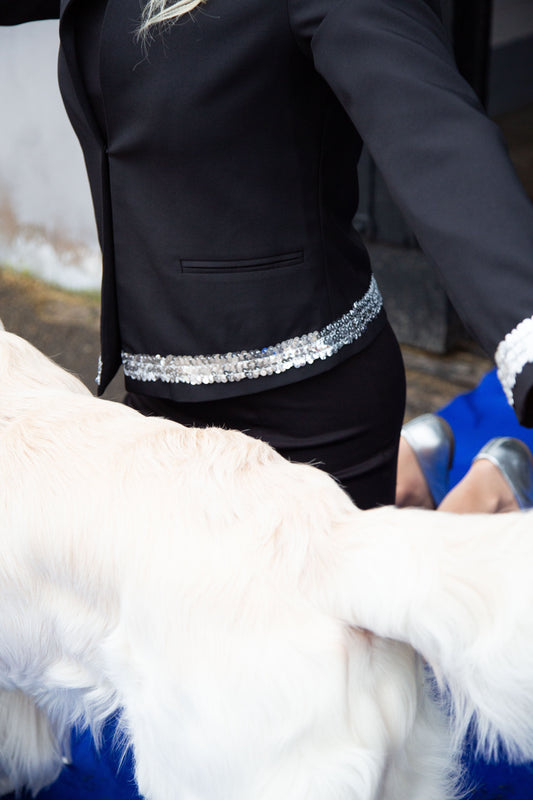 Crufts – En hyllning till våra fyrbenta vänner