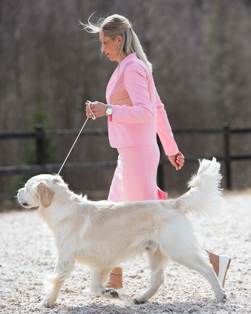 Elegance, Rosa - Canis Certo