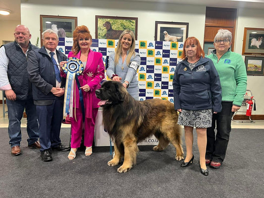 An Interview with Marie Thorpe – Returning Crufts Judge at Crufts