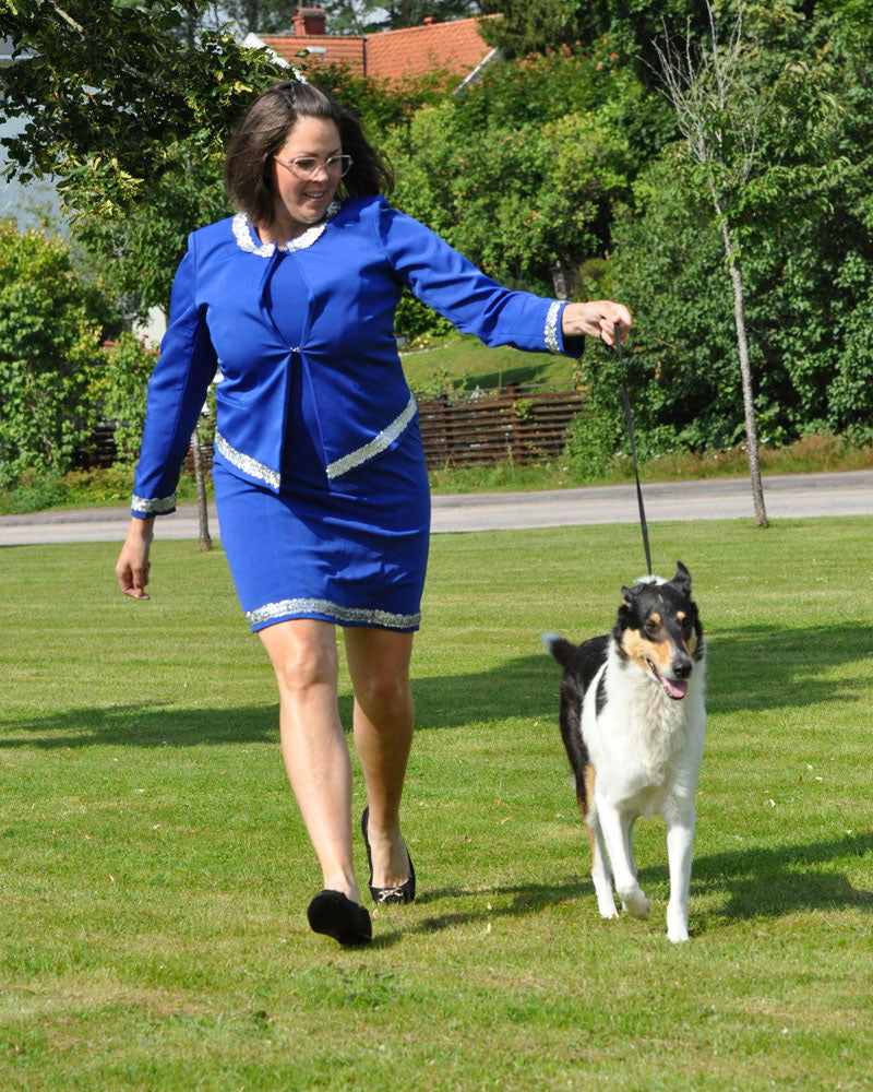 Vad som imponerar (och vad som inte gör det) i hundutställningsringen. - Canis Certo