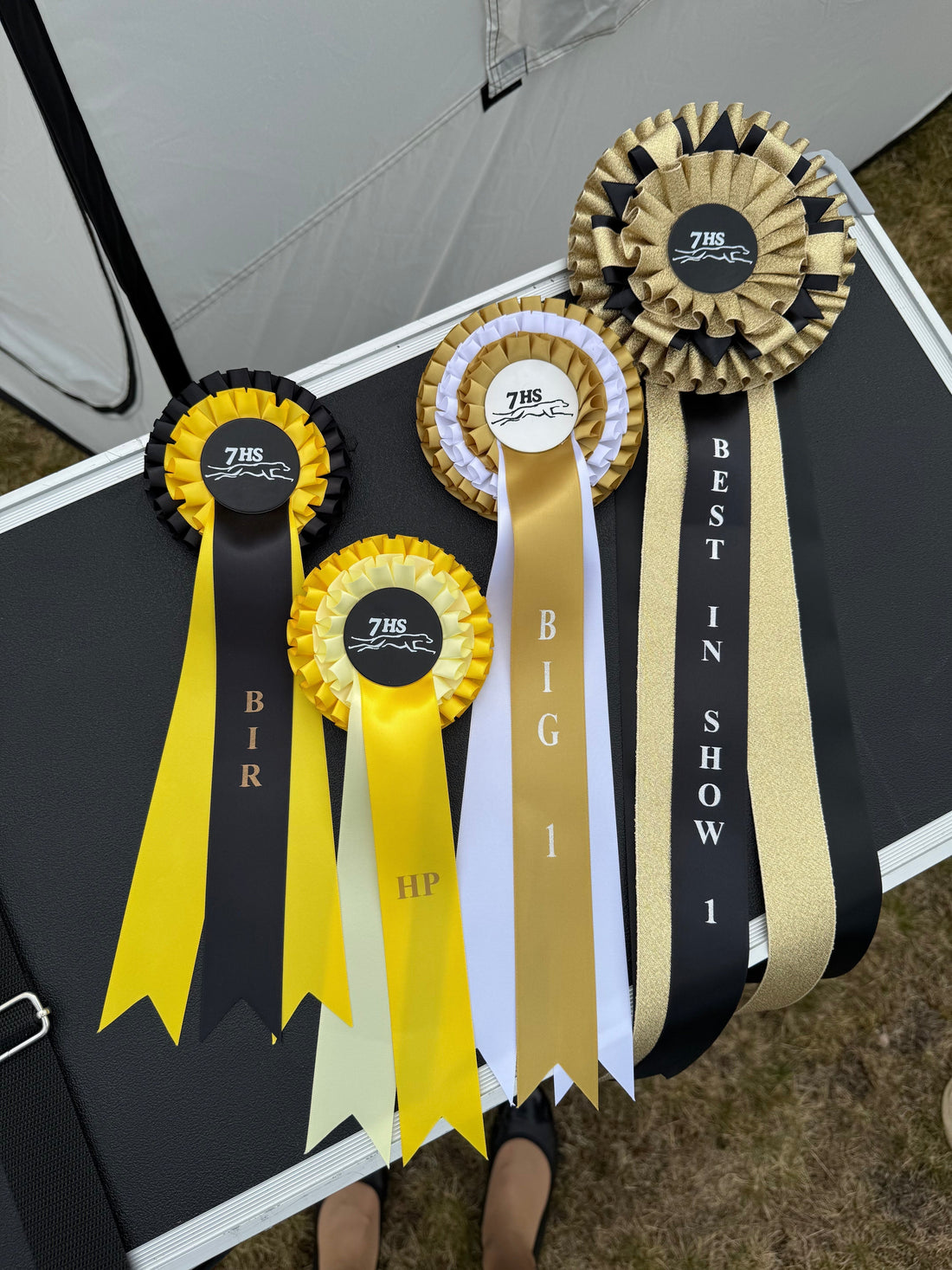 Så håller du hunden i toppform mitt under säsongen – träning, vila & mental stimulans - Canis Certo