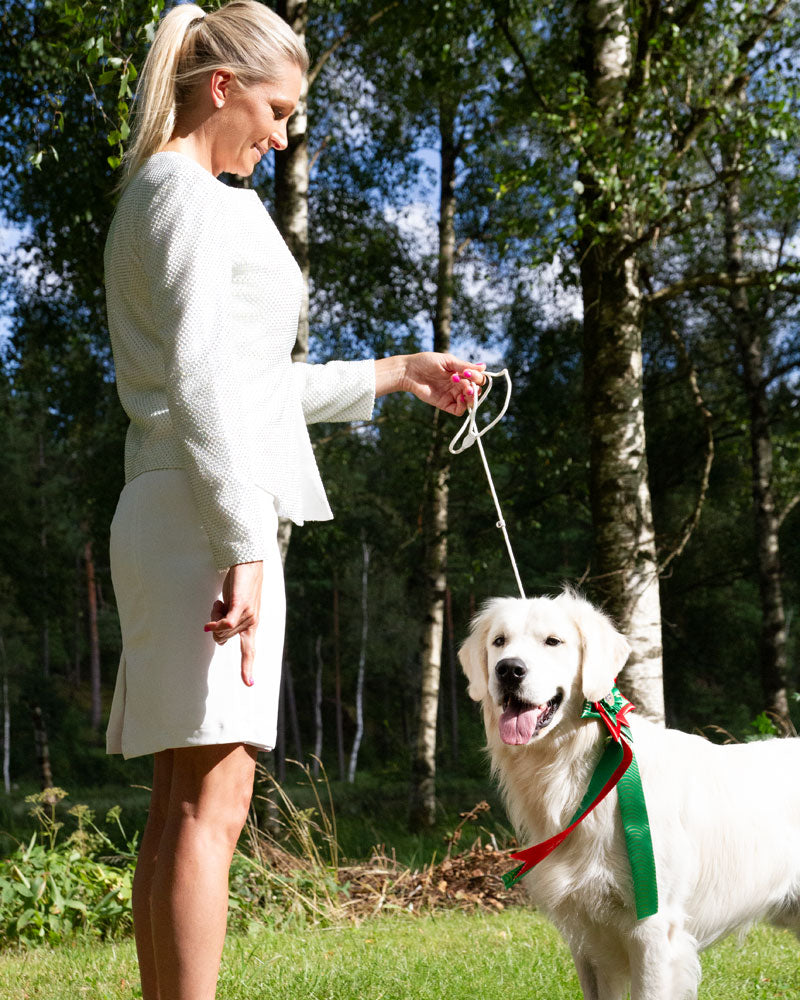 Diamond, Vit - Canis Certo