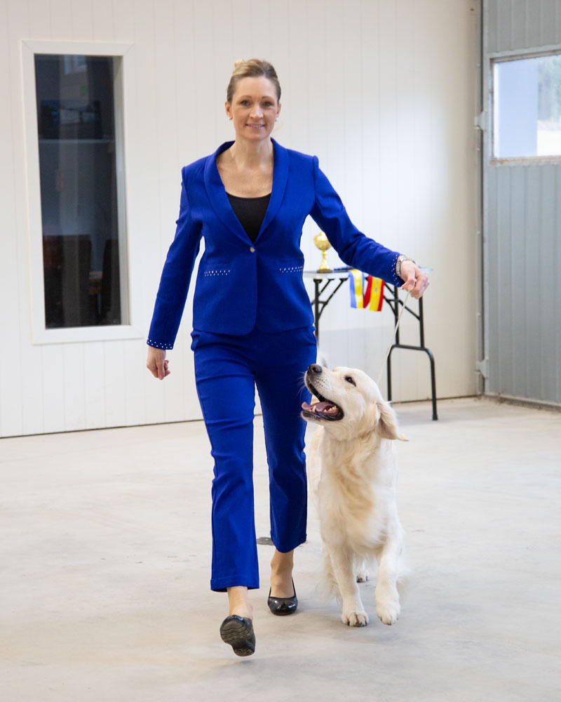 Belisse, Bleu cornflower