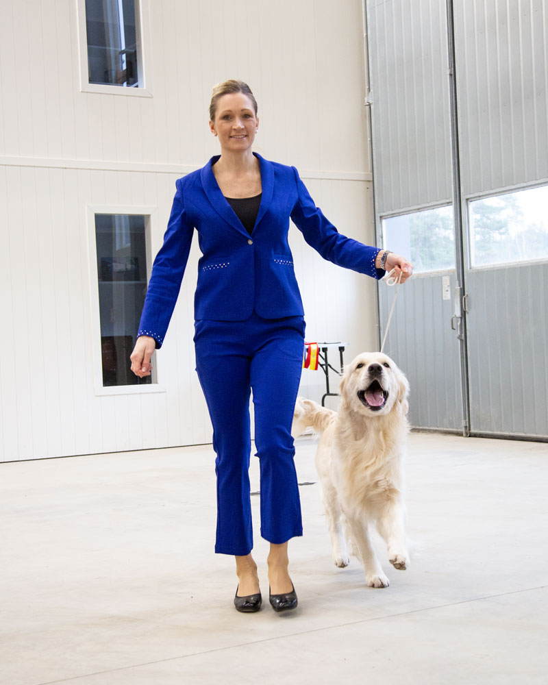 Belisse, Bleu cornflower