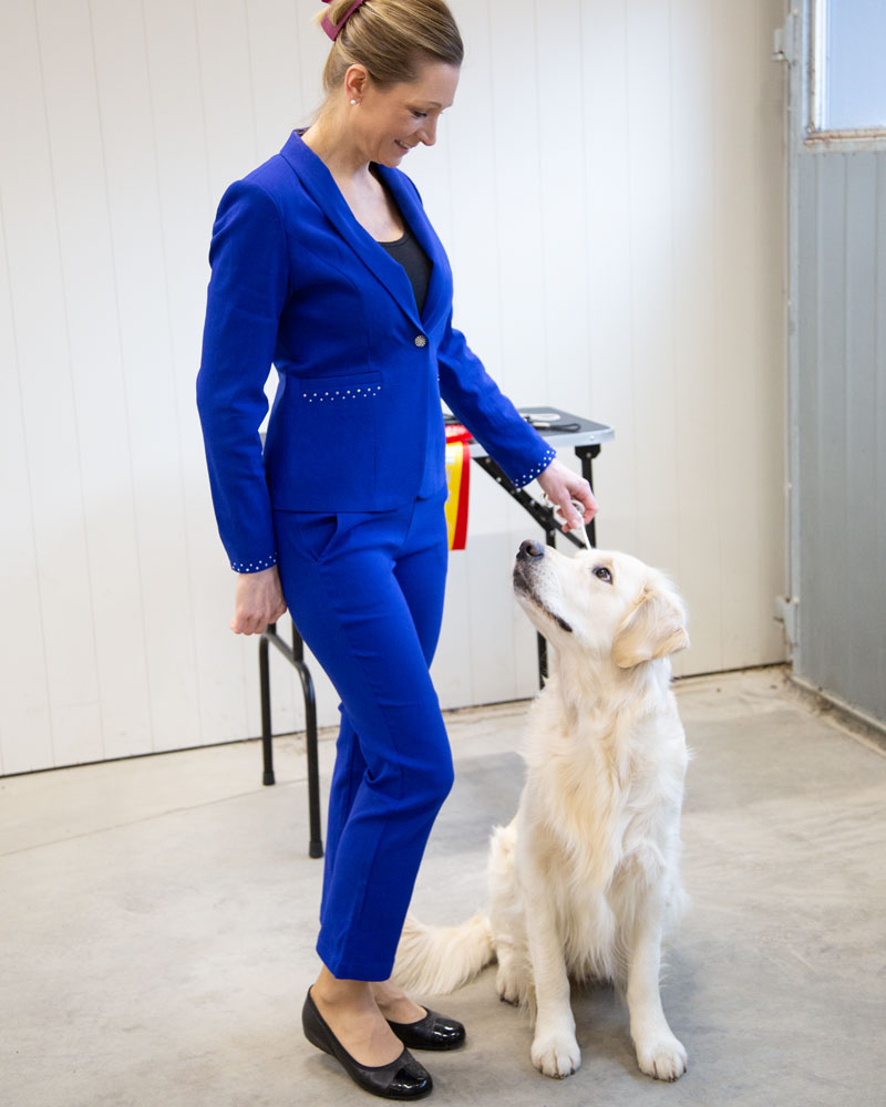 Belisse, Bleu cornflower