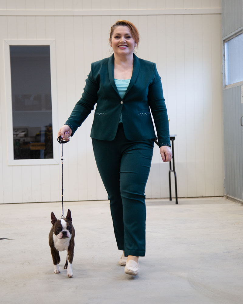 Belisse, Vert foncé