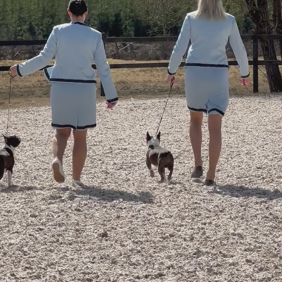 Video of team handler. Breeders group dog show suit. Celestite by Canis Certo.