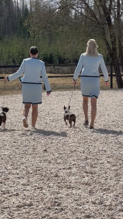 Video of team handler. Breeders group dog show suit. Celestite by Canis Certo.